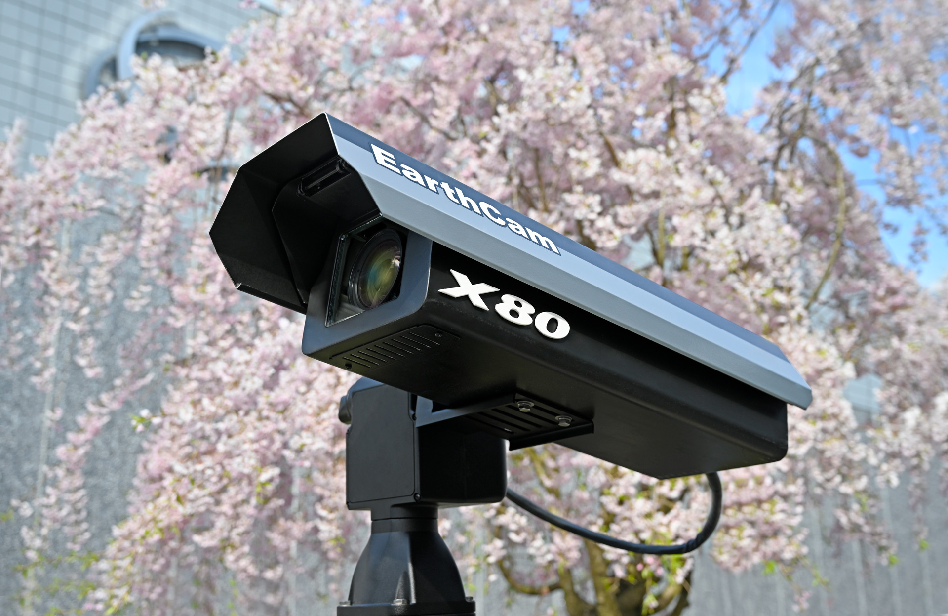 World's highest resolution robotic webcam